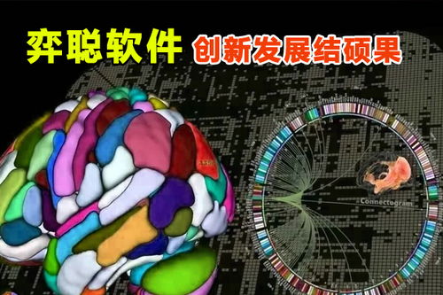 弈聪软件 科研创新结硕果，信息安全软件开发再添新动能